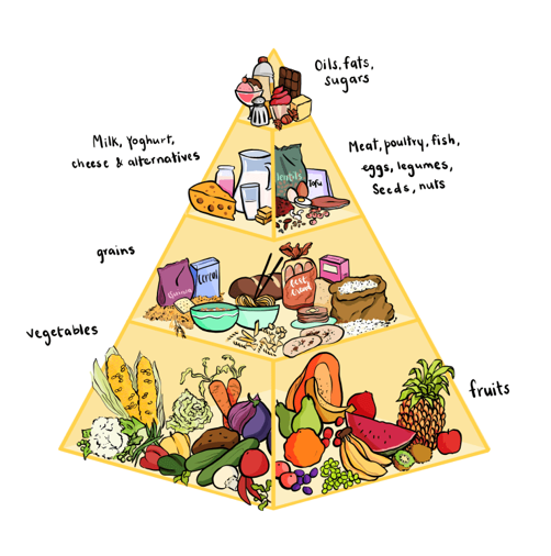 Health food pyramid