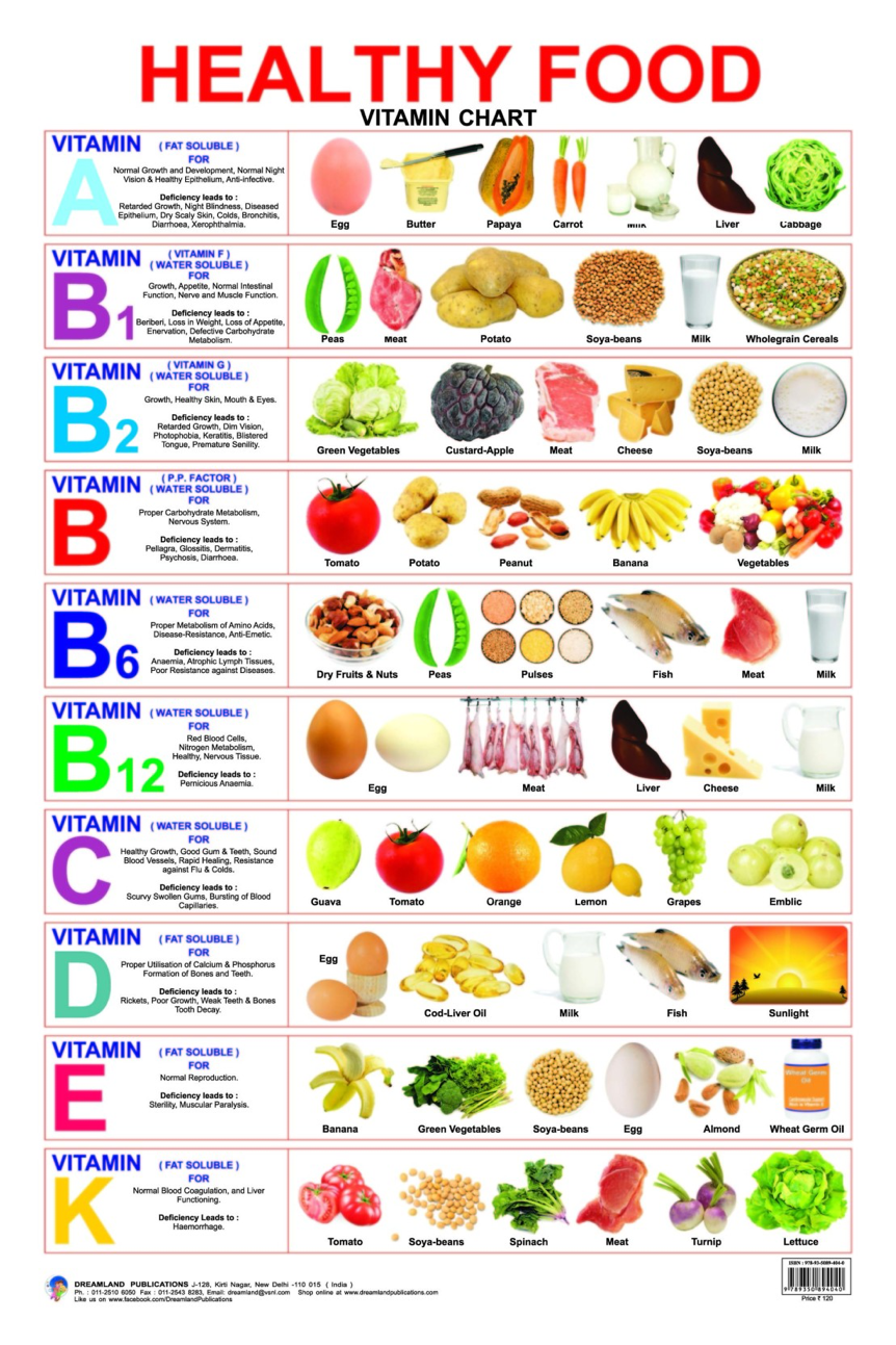 Health food pyramid